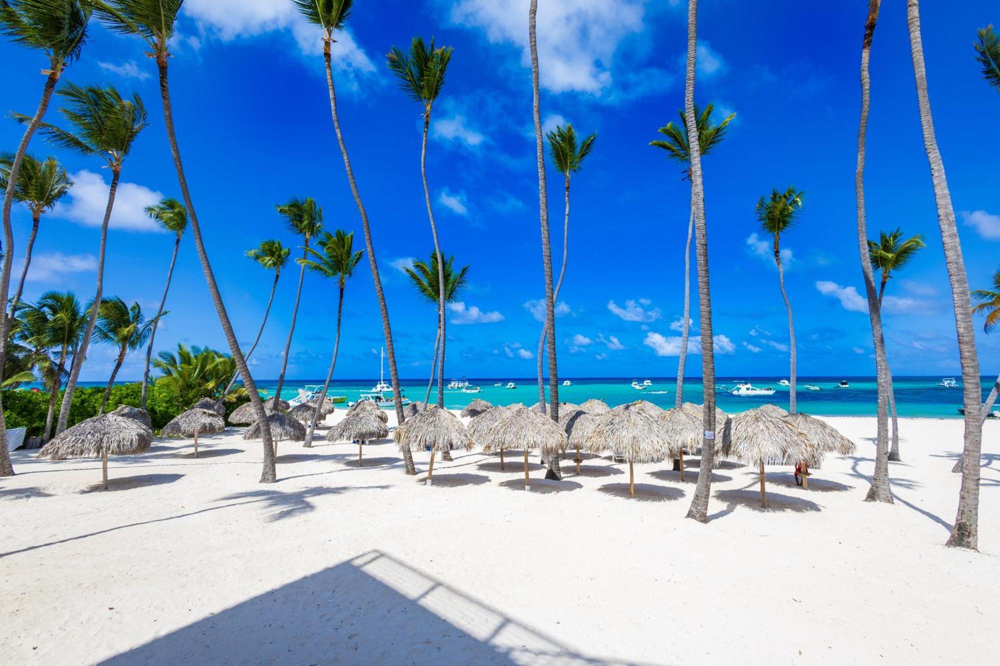 Prime Ocean View Punta Cana Apartments - 3-Bedroom Getaway With Private Terrace On Bavaro Beach Esterno foto