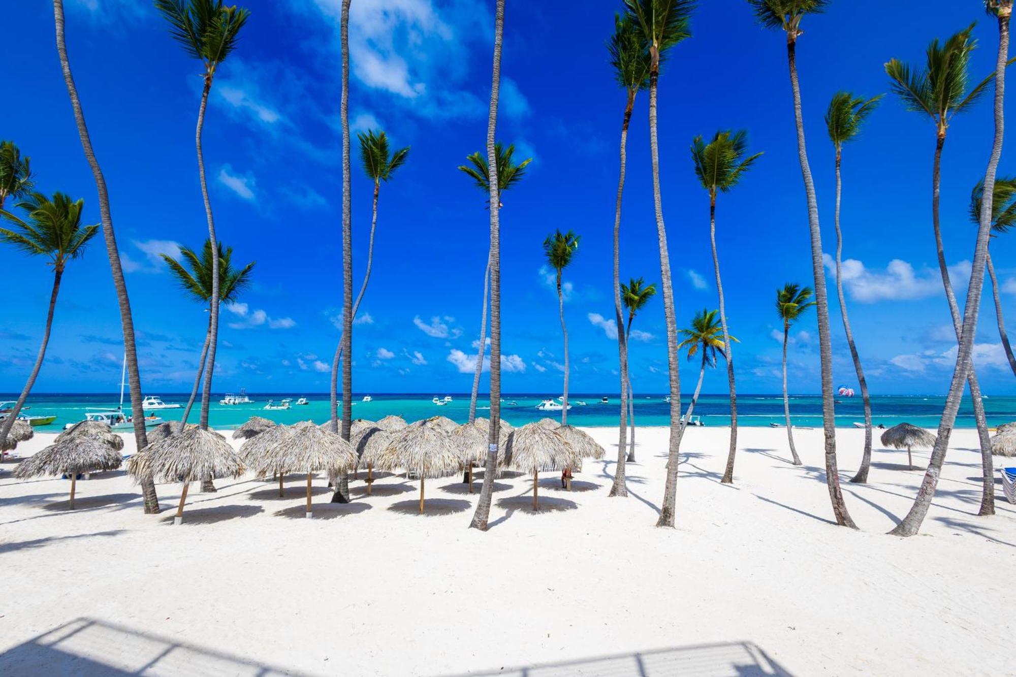 Prime Ocean View Punta Cana Apartments - 3-Bedroom Getaway With Private Terrace On Bavaro Beach Esterno foto